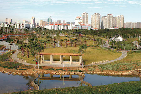 学府公园的封面.jpg
